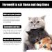 2023 New Cat Dog Skin-Disease Problems for Dogs Cat Itching Relief for Irritated Dry Itchy Skin Allergies Dermatitis Plastic (3PC) - Buy Online on GoSupps.com