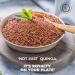 Pride Of India - Natural Royal Red Bolivian Quinoa - Protein Rich Whole Grain Jar 3.3 Pound (1.5 Kilo) Jar (2.2 Pound + 50% Extra Free 3.3 Pounds Total) - Buy Online on GoSupps.com