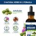 Artichoke Leaf Extract Drops for Liver Detox Cleanse & Repair Milk Thistle 5-in-1 Natural Herbal Formula Liver Health Support Supplment w/Dandelion Horsetail High Absorbtion. 2oz Original 2 Fl Oz (Pack of 1) - Buy Online on GoSupps.com