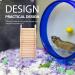 Scicalife Wood Hamster Ladder & Climbing Toys - 12cm Rabbit Bridge & Bird Playground Swing - Buy Online on GoSupps.com