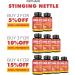 Stinging Nettle Root Extract 10650MG Capsules | Prostate Health & Urinary Tract Support | High Potency Formula for Men | Blood Pressure & Wellness | 2 Months Supply - Buy Online on GoSupps.com