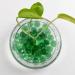 Hisredsun 290 Glass Pebbles - 1.35kg Green Flat Marble Pearls Decorative Stones for Aquarium & Flowerpots 17-20mm Fire Glass Pebbles - Buy Online on GoSupps.com