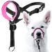 Goodboy halter for dogs with seat belt - prevents heavy pulling on a leash - padded halter for small medium -sized and large dogs - halter with training instructions (size 1 pink) pink size 1 (pack of 1)