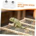 Toddmomy 1 Set Magnetic Water Feeder Gecko Feeding Ledge Spider Water Feeder Gecko Food Cups Magnetic Reptile Feeding Cup Water Basin for Spiders Snake Feeding Water Bowl Reptile Bowls - Buy Online on GoSupps.com