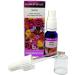  EQUISALUD Flowers of Life Mood Certified organic natural remedy for flowers 15 ml dropper and spray - Buy Online on GoSupps.com