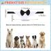 Shop Hacraho Adjustable Tuxedo Fly for Dogs - Formal Pet Costume for Weddings | Fits XS Medium Pets (Neck 40.6 45.7 cm) - Buy Online on GoSupps.com