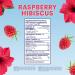 Cira Hydration Electrolytes Packets - Electrolyte Powder Naturally Flavoured & Sweetened w Stevia On-The-Go Hydration Packets w Himalayan Salt Magnesium Potassium - Raspberry Hibiscus 20 Servings - Buy Online on GoSupps.com