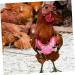 SEWOART Chicken and Duck Vest Hen Pet Harness Puppy Harness Comfortable Pet Harness Pet Leash Polyester Pink 17X15X0.5CM Pink - Buy Online on GoSupps.com