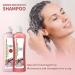 Onion Biotin and Rosemary Shampoo and Treatments Set Onion Shampoo With Biotin Rosemary Onion Shampoo for Stronger Thicker and Longer Hair Soft Shine Hair Growth 248ml - Buy Online on GoSupps.com