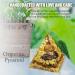 Leo Zodiac Tiger Eye Orgone Pyramid for Meditation and Stress Relief - Buy Online on GoSupps.com
