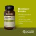 Nature's Sunshine Hawthorn Berries 100 Capsules - Support Heart Health - Buy Online on GoSupps.com