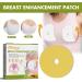 BROWSLU Breast Enhancement Patch - Upright Lifter & Enlarger Mask, 2 Boxes - Buy Online on GoSupps.com