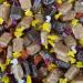 Personalized Customise with Your Own Message or Image 300g Cookie Jar of Bristows Assorted Fudge - Buy Online on GoSupps.com
