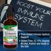 Nature's Answer Echinacea & Goldenseal - Organic Immune Booster & Wellness Support - 2 oz - Buy Online on GoSupps.com