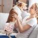Dono Reusable Dog Diapers - Super Absorbent & Washable | Comfortable Pet Diapers for All Sizes | 3-Piece Set (Stripes) - Shop Now - Buy Online on GoSupps.com