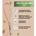 Nature's Own Stainless Steel Tongue Scraper - Improve Fresh Breath & Oral Hygiene for Adults & Kids - Easy to Use Portable Tongue Cleaner - Buy Online on GoSupps.com