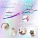 Professional Curved Dog Care Scissors - Safe Round Pointed Pet Fur Scissors for Dogs & Cats | Japanese 440C Stainless Steel | Rainbow Design - Buy Online on GoSupps.com