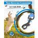 Buy Looxmeer 20m Neon Blue Dog Training Tow Line - Durable Lightweight with Storage Bag - 3m to 30m Options Available for International Shipping - Buy Online on GoSupps.com