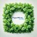 PAPERMINTS - Mint balls for fresh and long-lasting breath - Fights bad breath - Menthol candy without sugar or alcohol - Large size - 60 cool caps - Buy Online on GoSupps.com