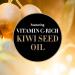 Kiwi Seed Oil Lip Conditioner and Hydrating Lip Balm Vitamin C rich Lip Care Dry Lips Cracked Lips and Chapped Lips 4g - Buy Online on GoSupps.com