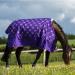 Gallop Equestrian Gallop Trojan Monarch 100g Lightweight Outdoor Horse Turnout Rug Standard Neck (6'6'' Purple) 6'6" Purple - Buy Online on GoSupps.com