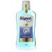 Signal Bain de Bouche Antibact rien Integral 8 Anti-plaque 500ml Anti-plaque 500 ml (Lot de 1)