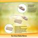 Ear Gear BAHA Mono - Protect Your BAHA from Dirt Sweat & Moisture - Fits Most Models - Beige - Buy Online on GoSupps.com