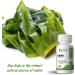 Naturally Natural Sea Kelp Iodine Capsules 520mcg - Pure Vegan Formula | 4 Months Supply - Buy Online on GoSupps.com