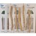 Organic Miswak Stick 7 Pcs with Holder - Natural Teeth Cleaning Sticks for Whitening and Disinfectant - Buy Online on GoSupps.com