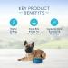Blue Buffalo Life Protection Formula Small Breed Dry Dog Food - Natural & Nutritious Adult Formula - Buy Online on GoSupps.com