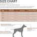 PUPTECK Small Dog Soft Mesh Harness & Lead Set XS Beige - Comfortable & Padded - Buy Online on GoSupps.com