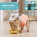 Avont Katzenbody: Optimal Recovery Suit for Cats | Spay Castration & Wound Protection | M Coral - Buy Online on GoSupps.com