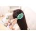 2 Pack Professional Vent Hair Brush for Women - Quick Drying & Detangling Hairbrush for Wet/Dry Hair - Ideal for Curly, Thick, Long, Wavy, and Damaged Hair - Faster Blow Drying - Pink Powder Blue - Buy Online on GoSupps.com