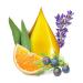 Tetesept Massage Oil Pure Relaxation 100ml - 7 Essential Oils for Stress Relief & Wellness | International Shipping Available - Buy Online on GoSupps.com
