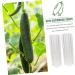 BCOATH 2pcs Vegetable Shaping Fruit Vegetable Forming Mould Kit Watermelon Picking Garden - Buy Online on GoSupps.com