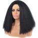 KKJKK Kurz Curly Black Synthetic Wig for Women | Fluffy Medium Length Heat-Resistant Fiber | Perfect for Cosplay & Halloween - Buy Online on GoSupps.com