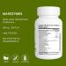 MassZymes - Enzymes digestives compl tes pour la sant intestinale - Soulagement des ballonnements pour hommes et femmes v g talien sans OGM - Buy Online on GoSupps.com