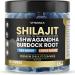Organic Shilajit Gummies Sea Moss Ashwagandha 105+ Trace Minerals Organic Burdock Root & Lions Mane Mushroom - Blue Razz Vegan & Non-GMO Made in USA 60ct