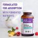 New Chapter Prenatal Multivitamin with Methylfolate & Choline - 60 One Daily Capsules for Healthy Mom & Baby - Buy Online on GoSupps.com