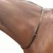 Kincade Leather Neck Strap Brown Full - Buy Online on GoSupps.com