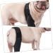 CORHAD Pet Injury Knee Puppy Brace Elbow and Knee Pads Dog Knee Cover Butter Care L As Shown - Buy Online on GoSupps.com
