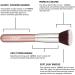 Vaerki Mushroom Head CC Cream & Loose Powder Set with Foundation Brush - Natural Moisturizing BB Cream (Cool Beige #02) - Buy Online on GoSupps.com