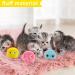 Buy Catal Balls Interactive Cat Toys - 3 Pack with Sound | Fluffy Catnip Balls in Blue Pink & Yellow for Fun Playtime - Buy Online on GoSupps.com