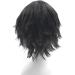 Gairyan Short Black Wig Cosplay Wig Unisex Anime Cosplay Wigs for Women/Men Straight Fluffy Wig Costume Theme Party Fancy Dress Wigs Halloween Wig Comic-Con Costumes Accessories - Buy Online on GoSupps.com