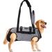 Ownpet's wearing aid dishes lifting dishes for large dogs carrying for large dogs full body dishes dog carrier bag with shoulder strap soft waterproof adjustable gray xxxl