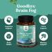 Advanced Brain Supplement for Memory and Focus - Nootropics Brain Support Supplement with Memory and Focus Vitamins for Adults of All Ages - for Brain Fog Clarity Energy and Recall - 3 Pack - Buy Online on GoSupps.com