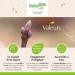 HERBALGEM - Organic Virgin Vine - Concentrated Gemmotherapy Dietary Supplement - Fresh Bud Extract - For Circulation Antioxidant Skin & Cardiovascular Health - Vegan - 30 ml - Buy Online on GoSupps.com