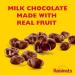 Milk Chocolate Raisinets - California Raisins - Movie Theater Candy Box - Halloween Treats - 3.1 oz (15 Pack) - Buy Online on GoSupps.com