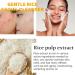 Jasmine Rice Face Wash Pore Foaming Cleanser Rice Water Bright Foaming Cleanser Gentle Foaming Hydrating Cleanser With Jasmine Rice Essence Facial Cleanser Exfoliating & Moisturizing - Buy Online on GoSupps.com