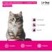 Itiko Digestive Snacks for Cats - Probiotic Treats - Promotes Digestion - Alternative to Clay - Psyllium for Diarrhea - Food Supplement for Cats - Buy Online on GoSupps.com